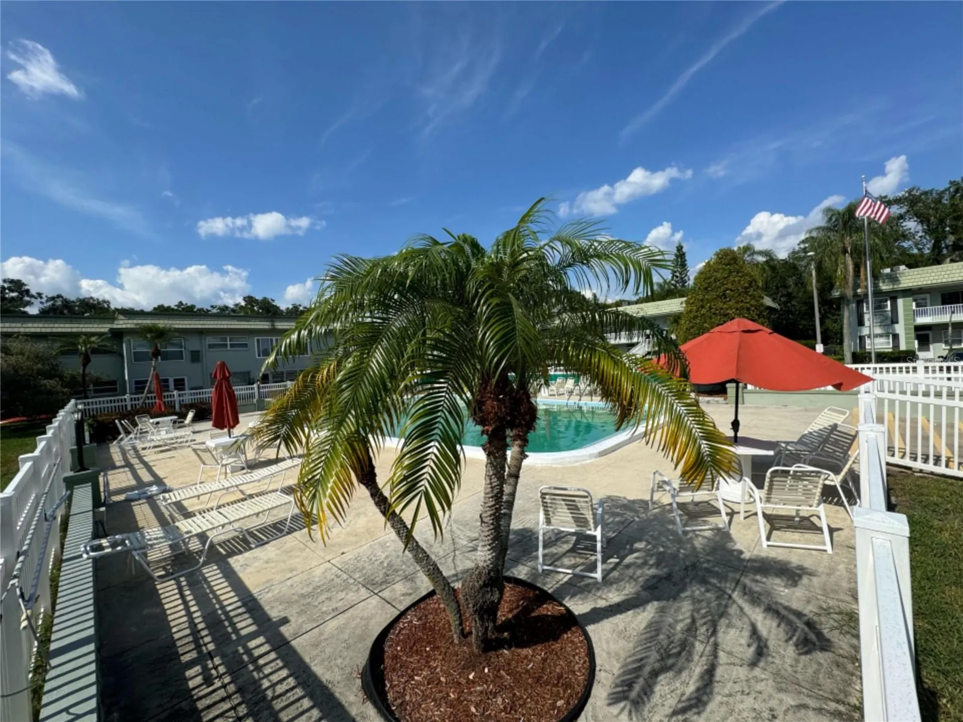 1433 S Belcher Road Clearwater FL 33764