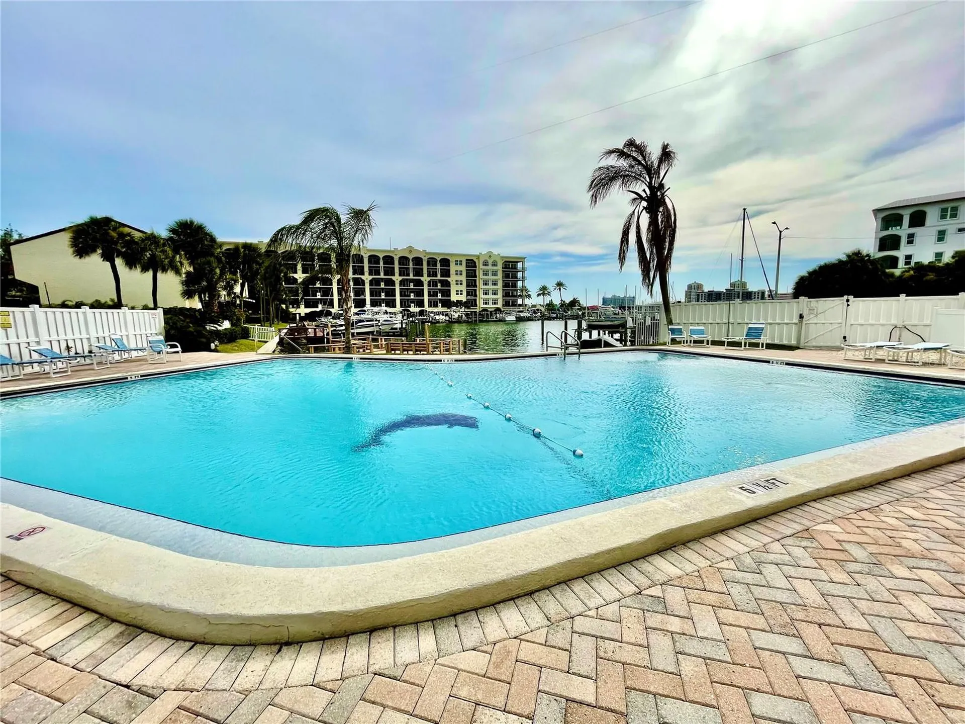 255 Dolphin Point Clearwater FL 33767