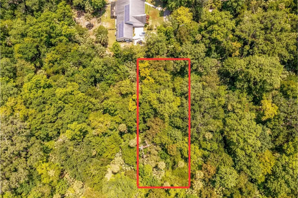 Shady Palm Cove Oviedo FL 32765