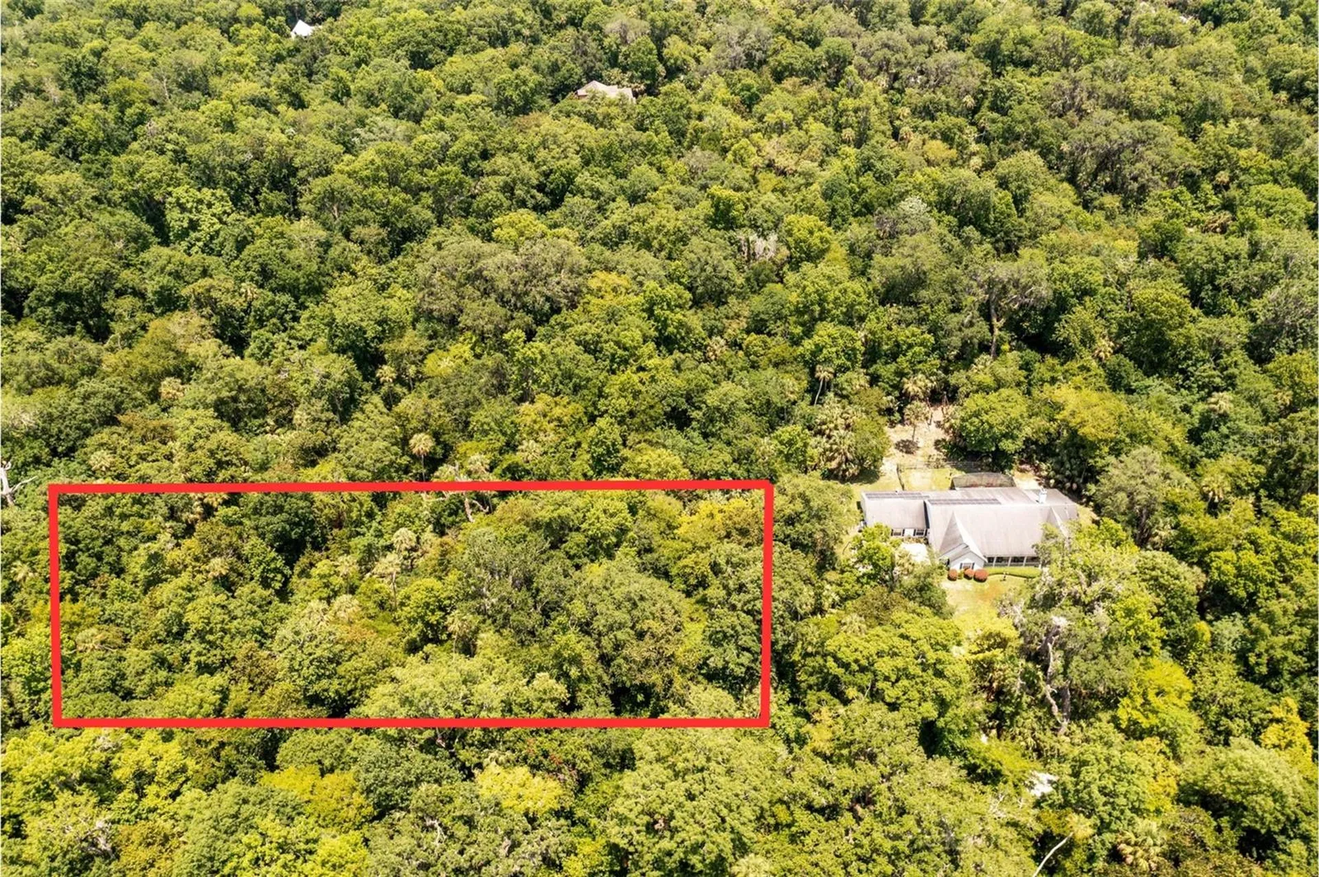 Shady Palm Cove Oviedo FL 32765