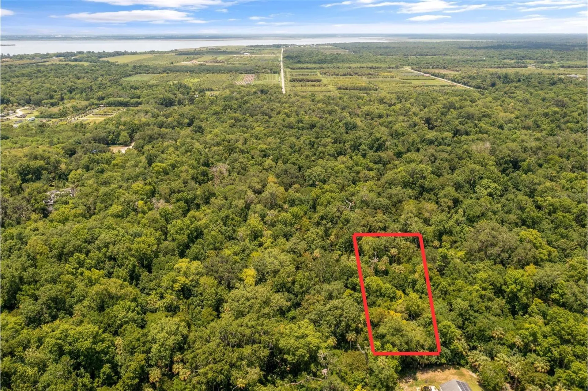Shady Palm Cove Oviedo FL 32765