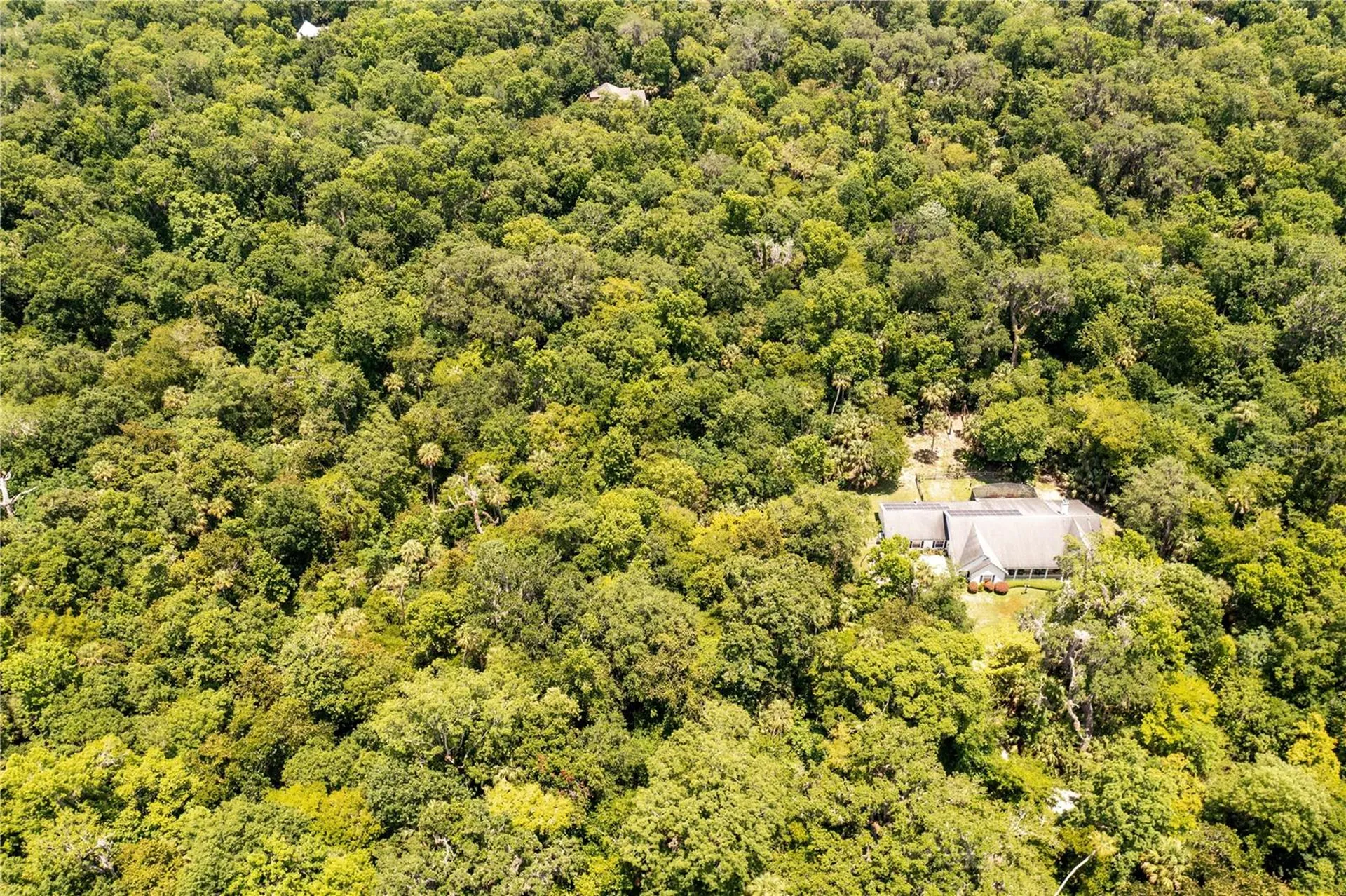 Shady Palm Cove Oviedo FL 32765