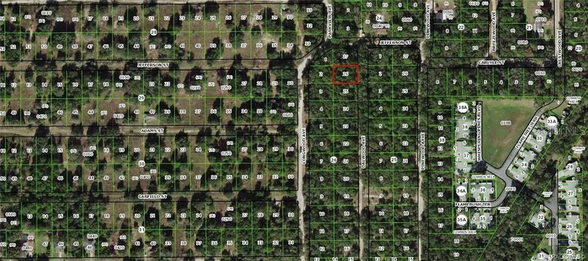 715 Dalwood Avenue Inverness FL 34453