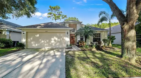 13409 Fawn Springs Drive Tampa FL 33626