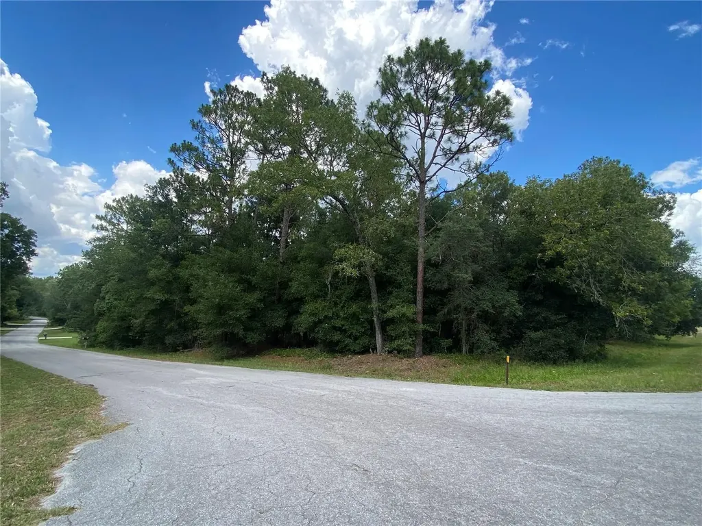 Lot 57 SW 203 Avenue Dunnellon FL 34431