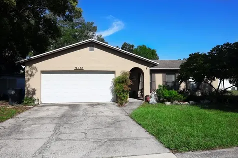 14042 Briardale Lane Tampa FL 33618