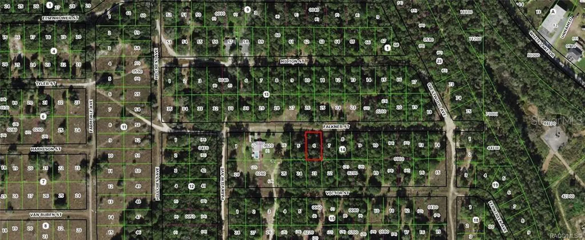 2003 Falkner Street Inverness FL 34453