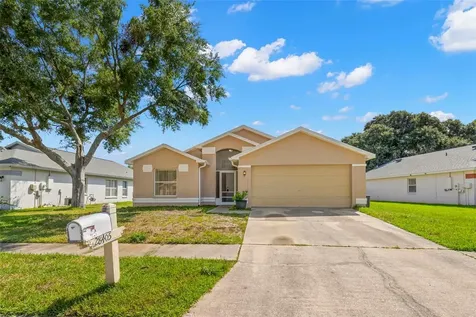 28405 Tall Grass Drive Wesley Chapel FL 33543