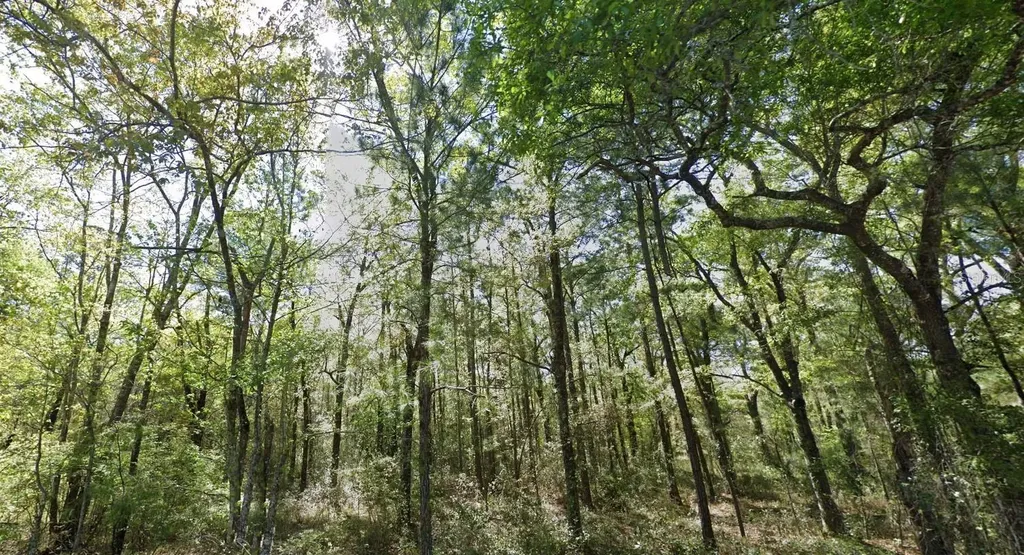 37551 Ingham Road Hilliard FL 32046