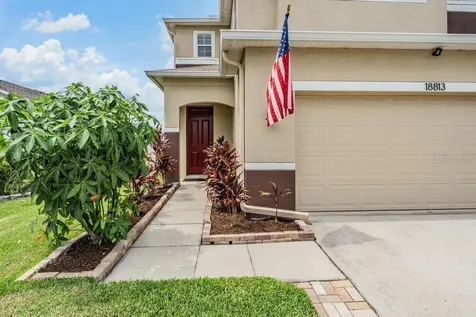 18813 Sunterra Drive Land O Lakes FL 34638