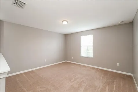 1604 Climbing Dayflower Drive Ruskin FL 33570