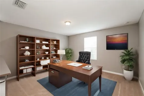 1604 Climbing Dayflower Drive Ruskin FL 33570