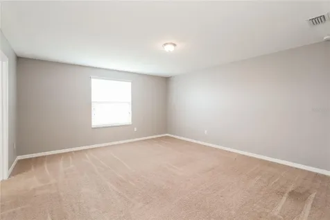 1604 Climbing Dayflower Drive Ruskin FL 33570