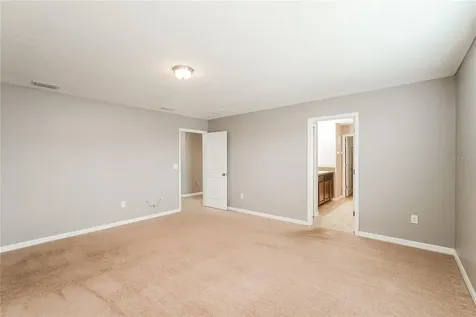 1604 Climbing Dayflower Drive Ruskin FL 33570