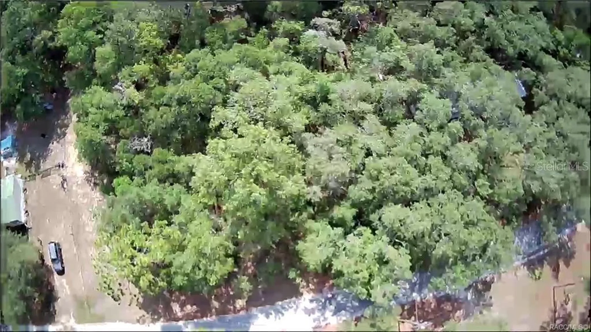 4331 S Marcan Terrace Homosassa FL 34446
