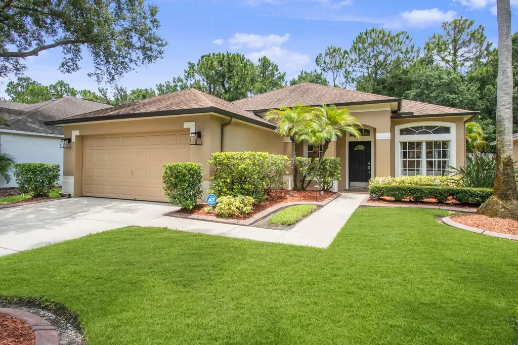 11801 Derbyshire Drive Tampa FL 33626