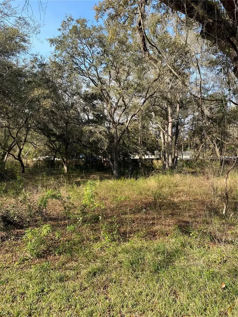 Bushnell FL 33513
