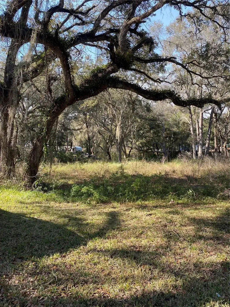 Bushnell FL 33513