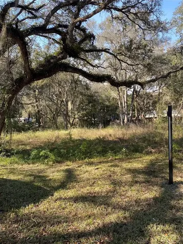 Bushnell FL 33513