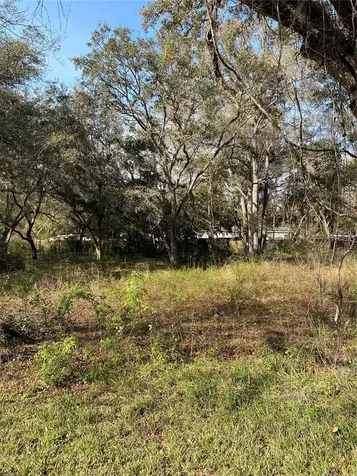 Bushnell FL 33513