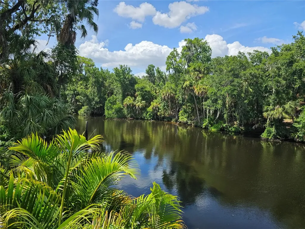 7248 Alafia Ridge Loop Riverview FL 33569