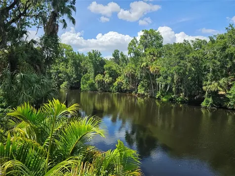 7248 Alafia Ridge Loop Riverview FL 33569