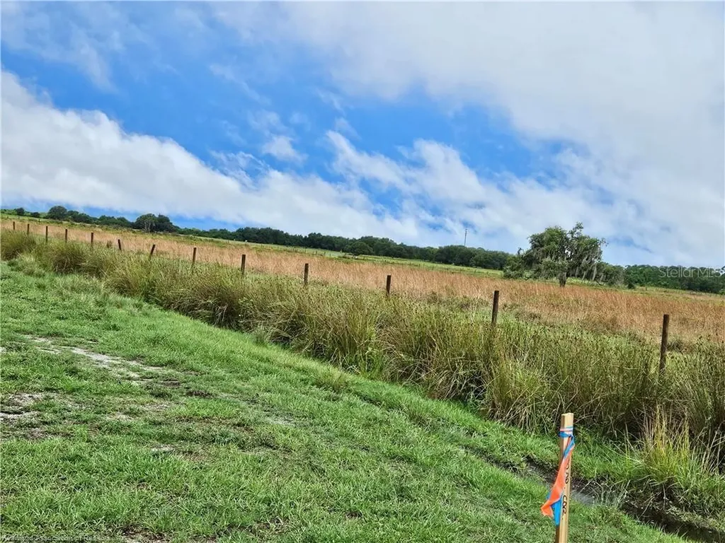 1013 Cattle Ranch Road Venus FL 33960