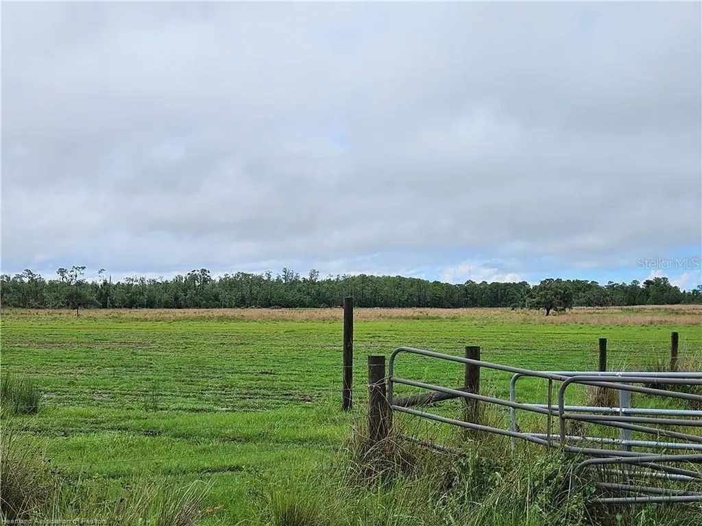 1013 Cattle Ranch Road Venus FL 33960