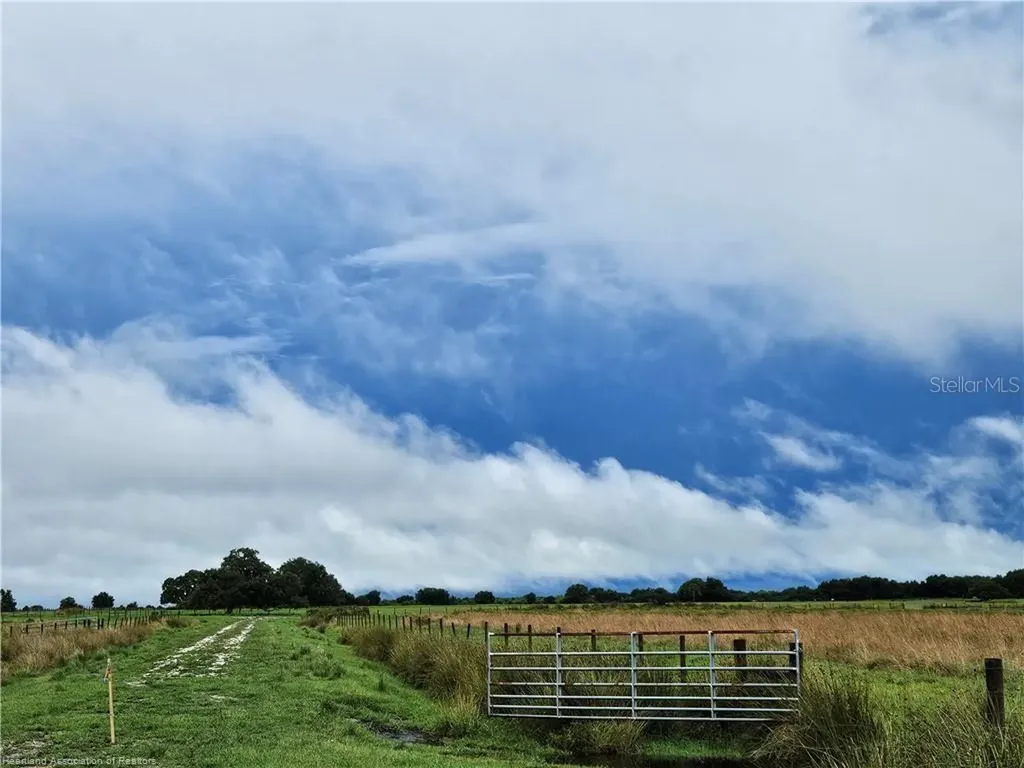 1013 Cattle Ranch Road Venus FL 33960