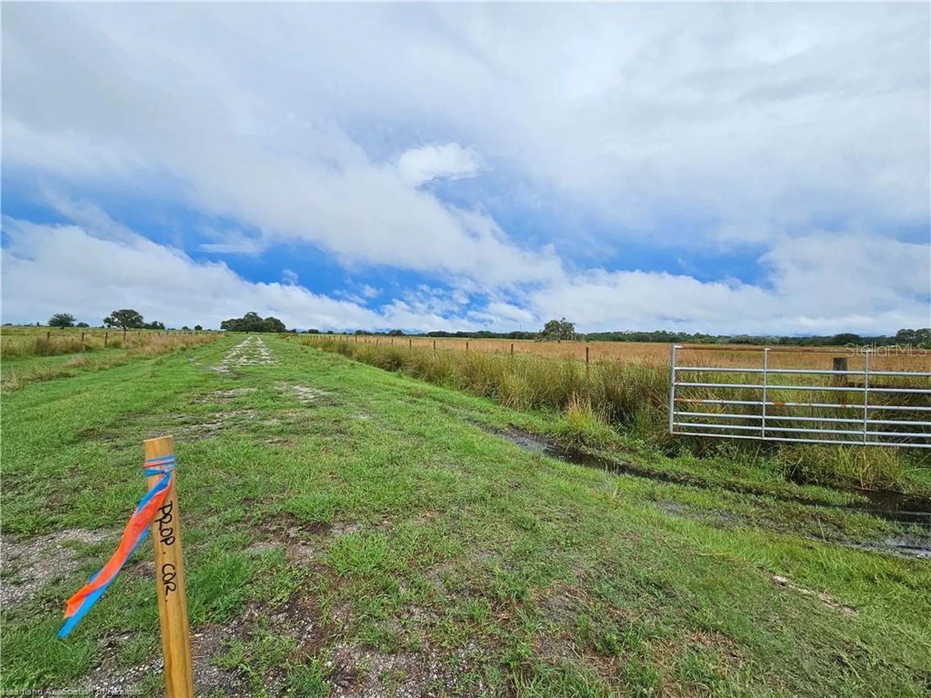 1013 Cattle Ranch Road Venus FL 33960