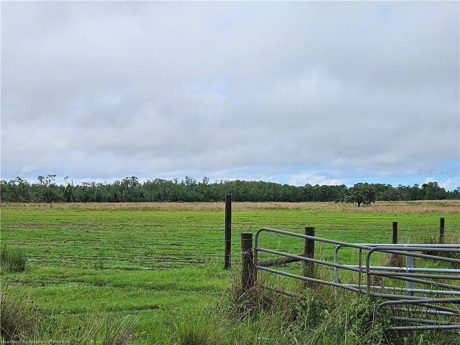 1013 Cattle Ranch Road Venus FL 33960