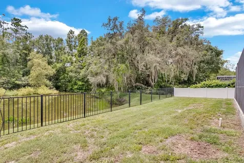 35524 Wickingham Court Zephyrhills FL 33541