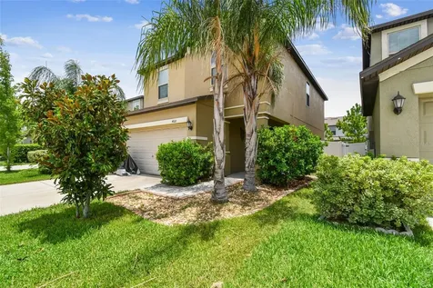 4010 Cat Mint Street Tampa FL 33619