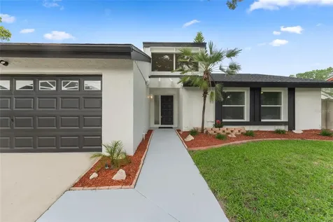 3931 Orchard Hill Circle Palm Harbor FL 34684