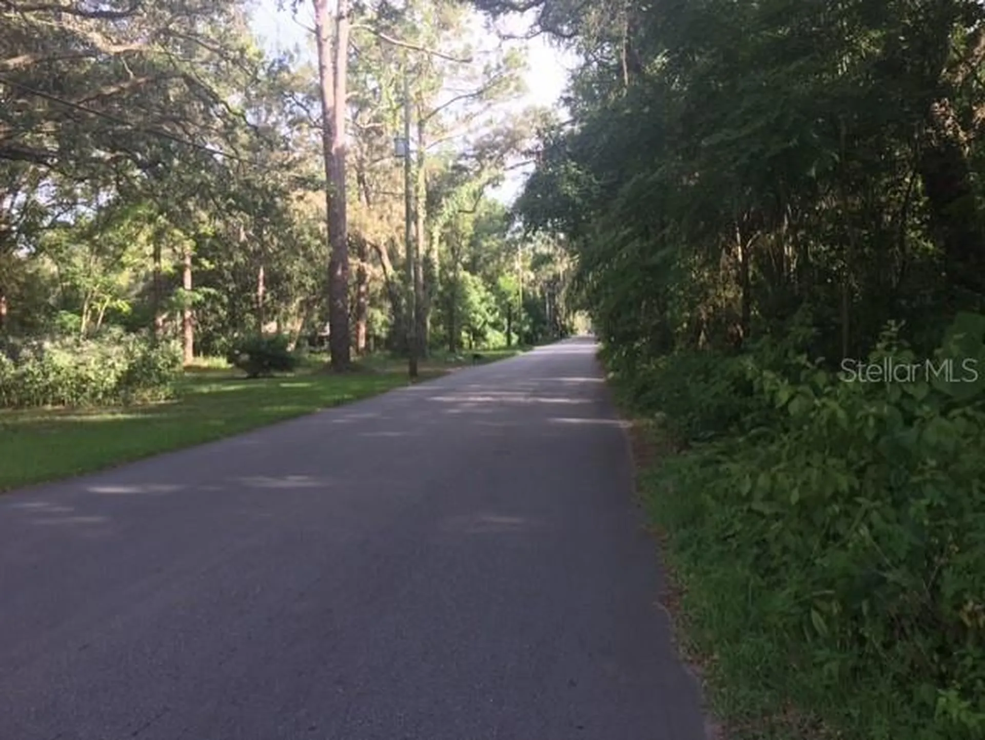 7415 20th Street Zephyrhills FL 33540