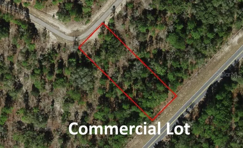 10522 N Elkcam Boulevard Citrus Springs FL 34433