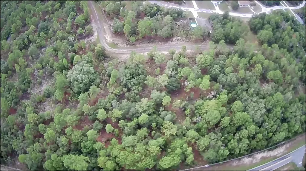 10522 N Elkcam Boulevard Citrus Springs FL 34433