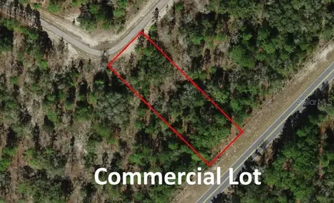 10522 N Elkcam Boulevard Citrus Springs FL 34433