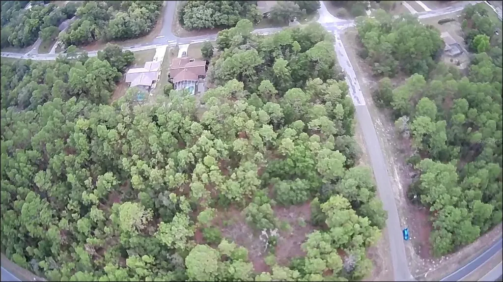 9223 N Bertin Drive Citrus Springs FL 34434