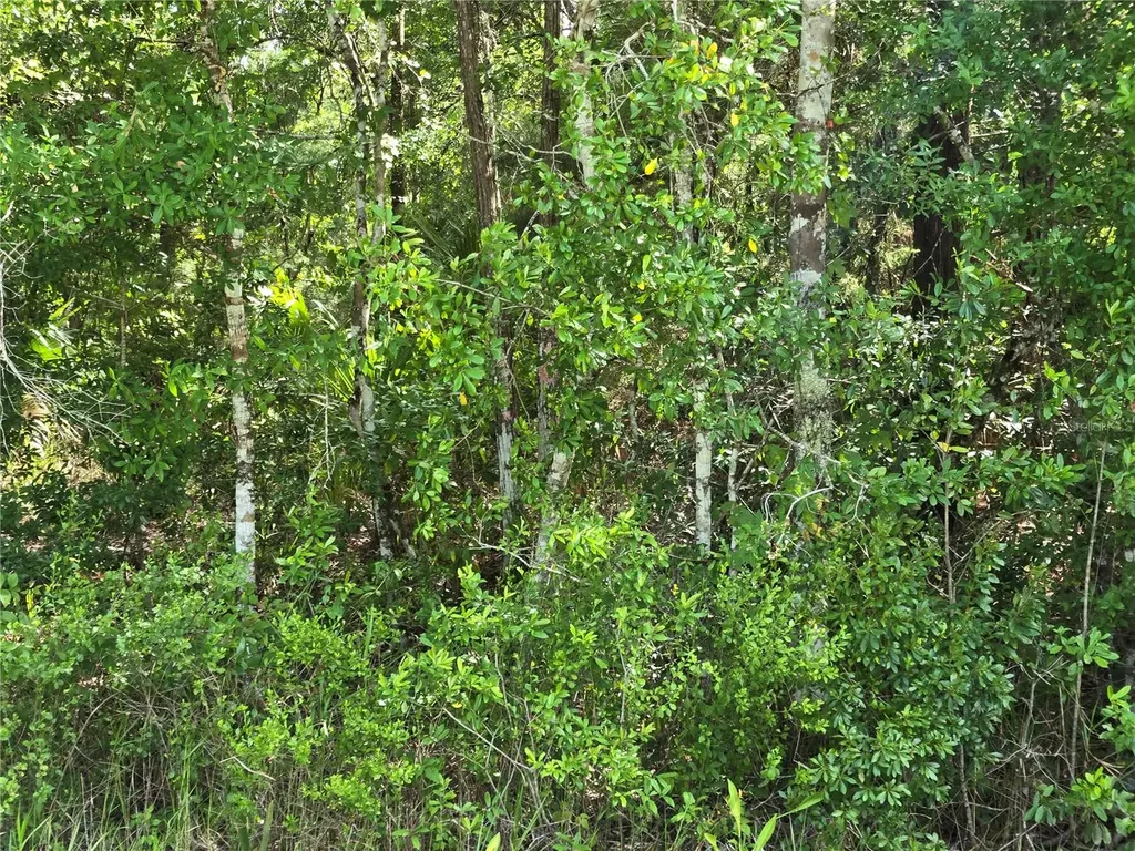 1925 Cr-13 Bunnell FL 32110