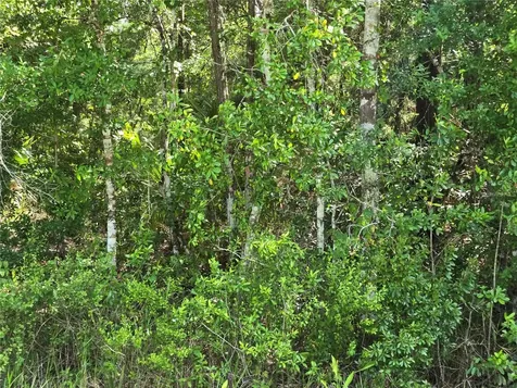1925 Cr-13 Bunnell FL 32110