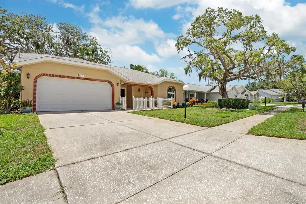 10531 Quimby Drive Port Richey FL 34668
