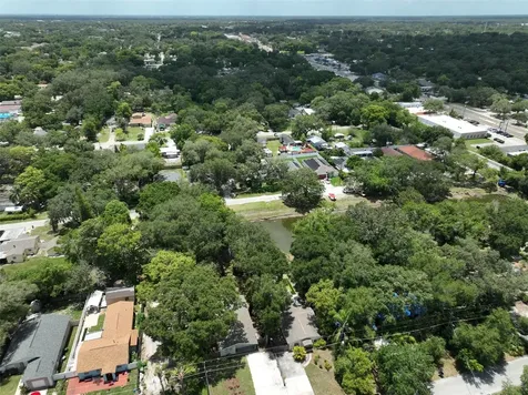 8912 El Portal Drive Tampa FL 33604