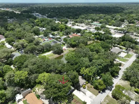 8912 El Portal Drive Tampa FL 33604