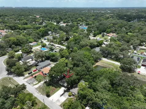 8912 El Portal Drive Tampa FL 33604