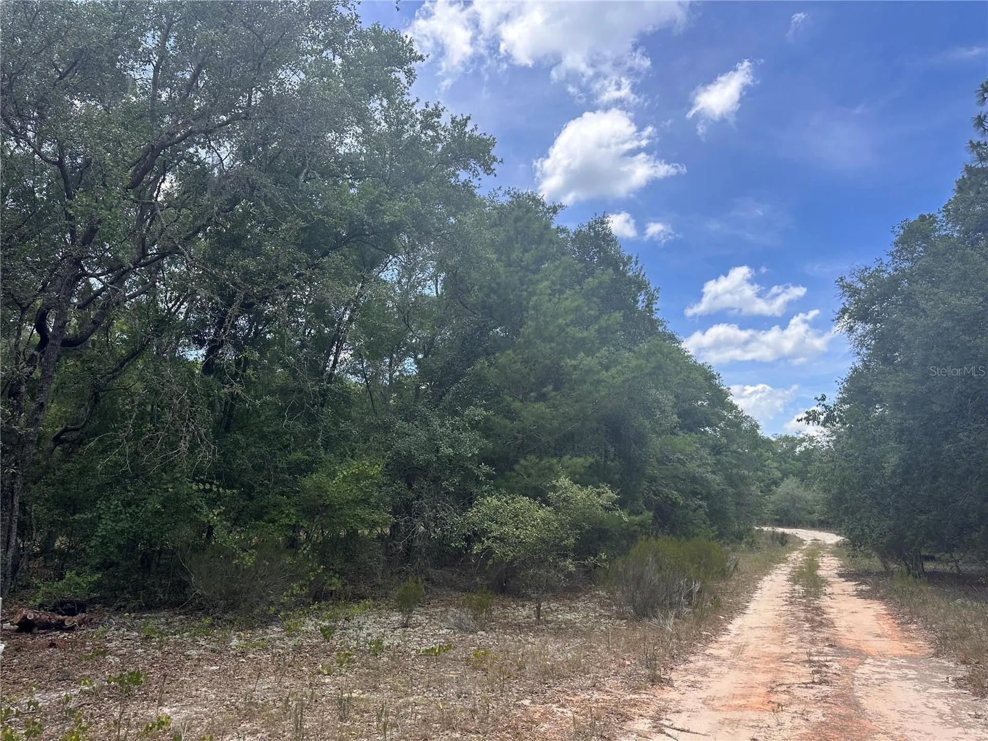 221 Indianapolis Street Hawthorne FL 32640