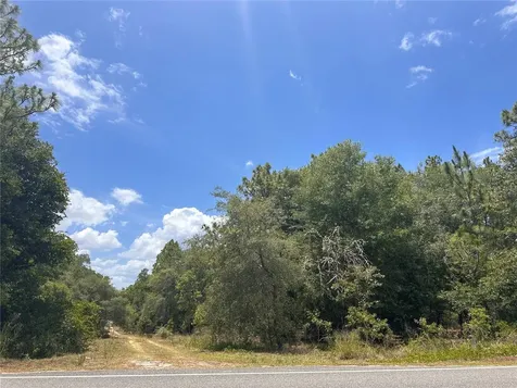 221 Indianapolis Street Hawthorne FL 32640