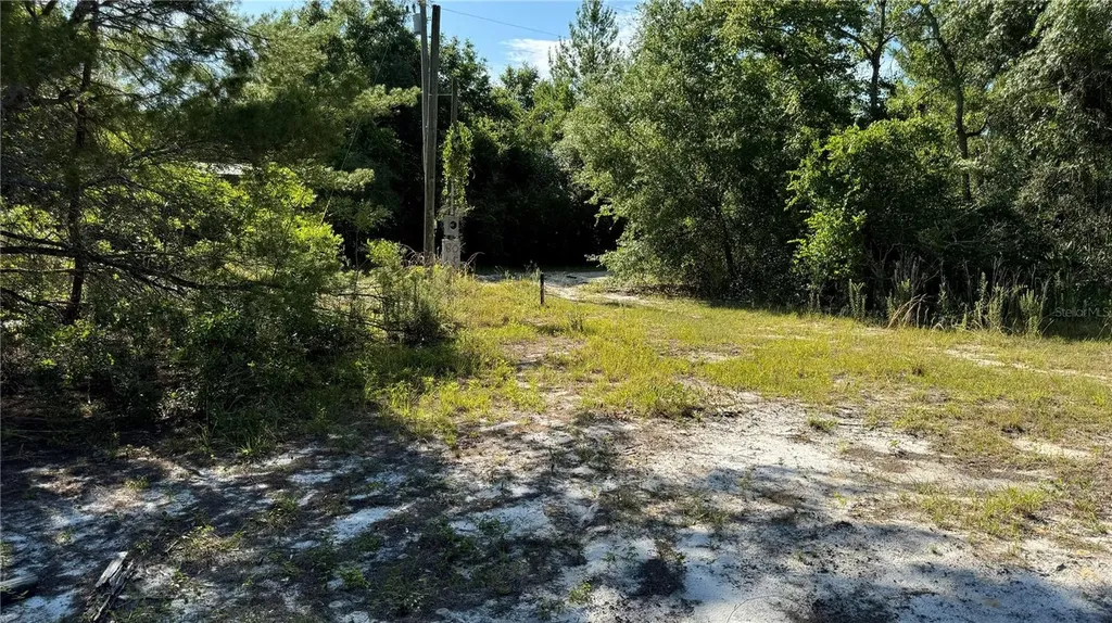 8045 NE 307th Avenue Fort Mc Coy FL 32134