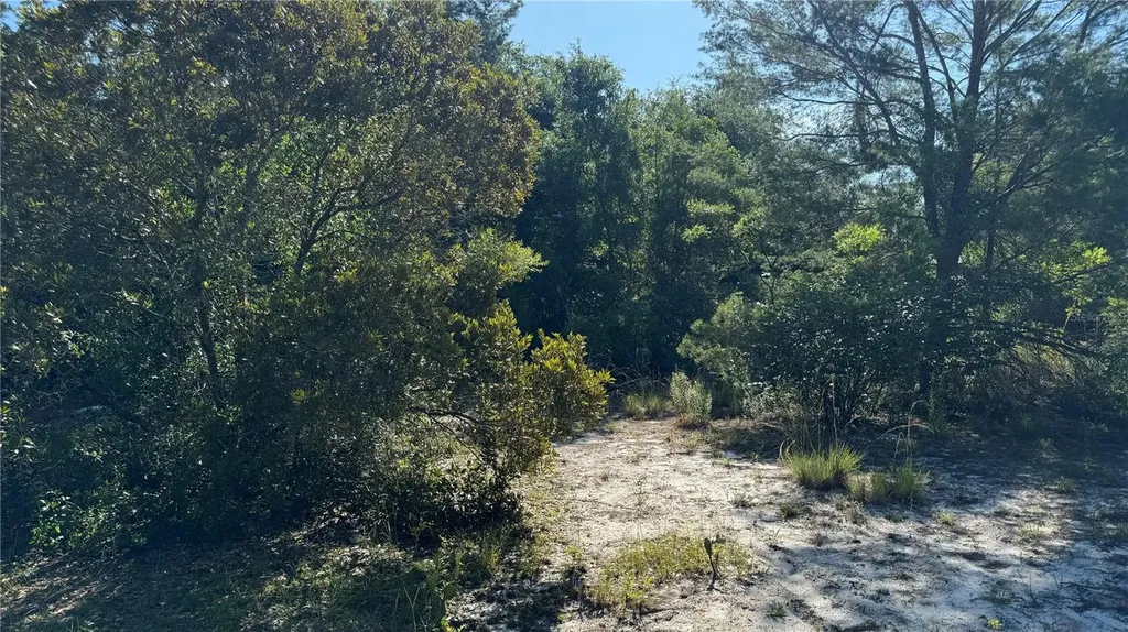 8045 NE 307th Avenue Fort Mc Coy FL 32134