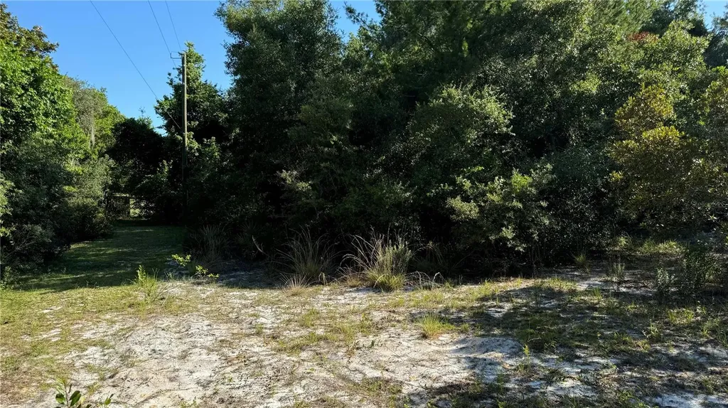 8045 NE 307th Avenue Fort Mc Coy FL 32134